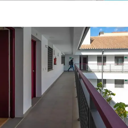 La Rosaleda Apartman *